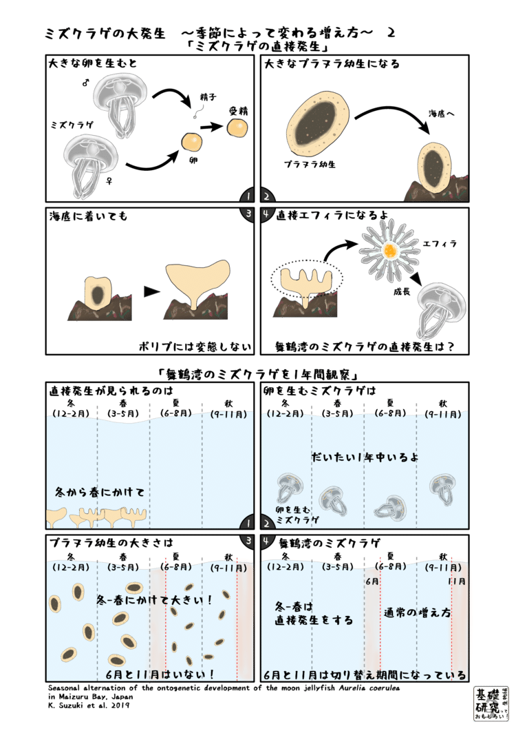 かわいせーざん 基礎研究っておもしろい 生物編の年4月のノート Note