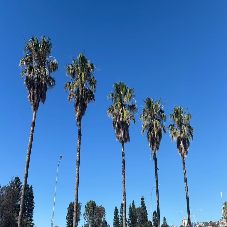 英語の “Interest” が示すもの——多彩な訳語をつなぐキーワードは「関わり合い」と「利害」｜Eriko/税理士（日本）/シドニー在住/ゼロから 英語勉強中