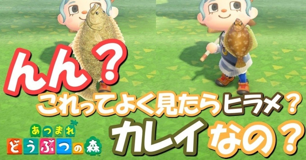 あつ森から学ぶ生物の話 ヒラメ なのか カレイ なのか いよいよハッキリさせてやらぁ 緑木リョク Note