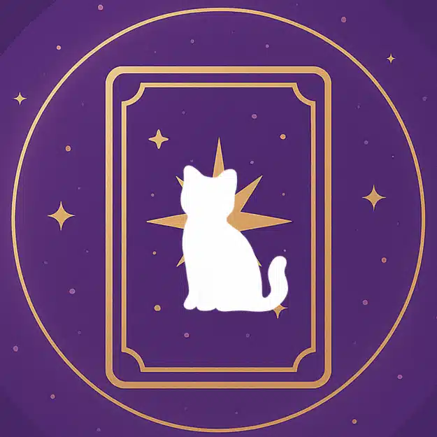 月灯りタロットのねこ占い