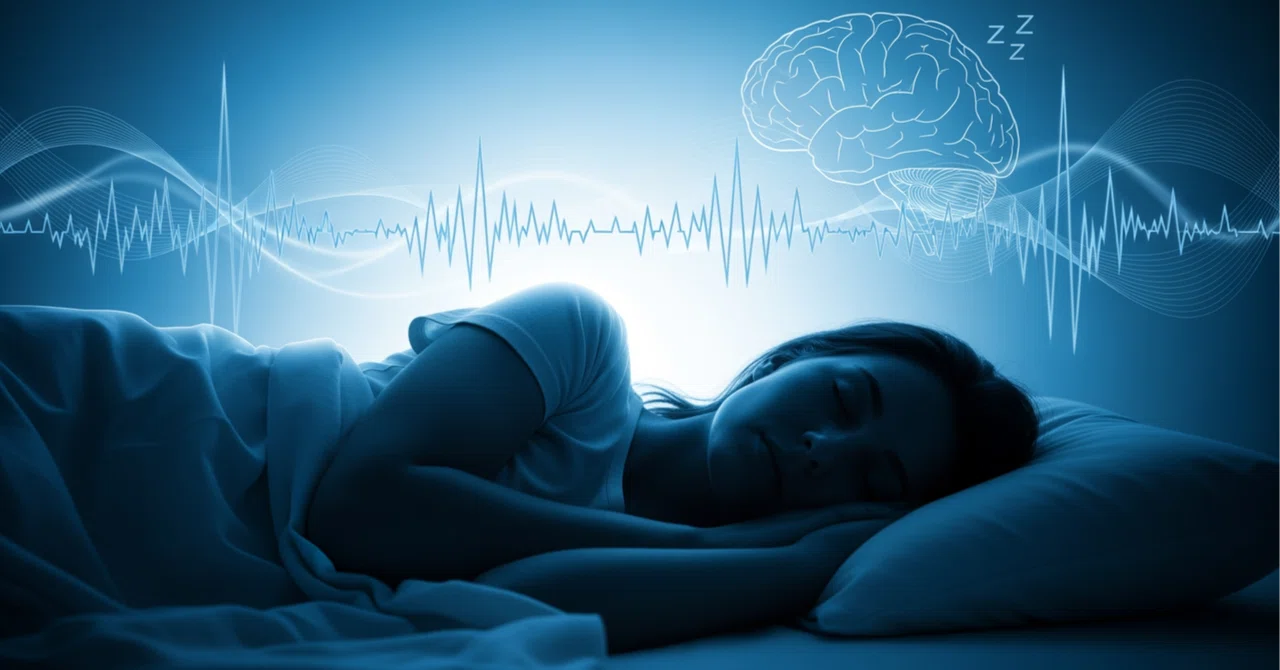 Sleep is the Best Investment: A Thorough Explanation of the Process by ...