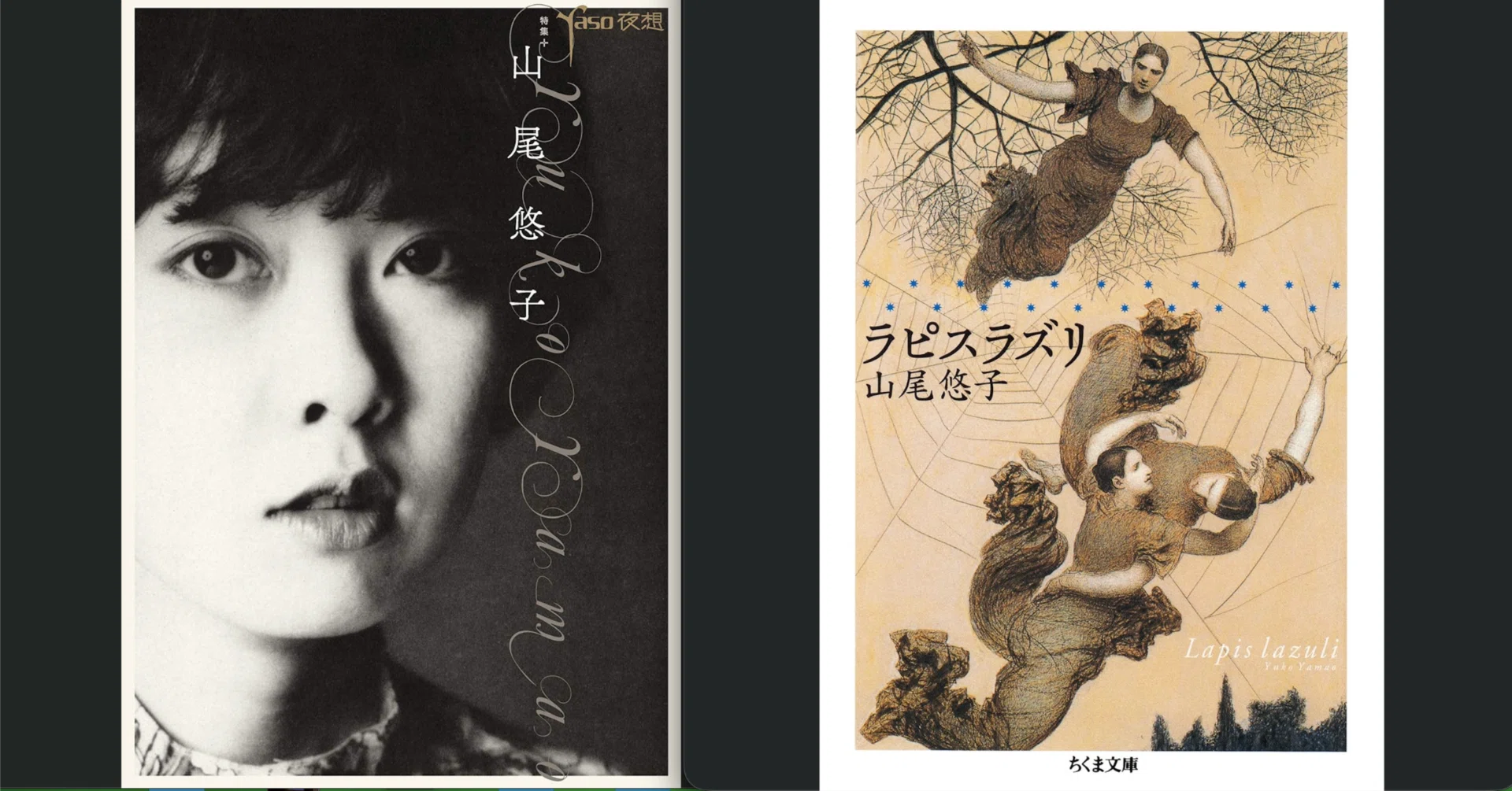 距離ゼロの美。「世界は言葉でできている」 幻想文学・山尾悠子さん 距離ゼロの美。「世界は言葉でできている」 幻想文学・山尾悠子さん