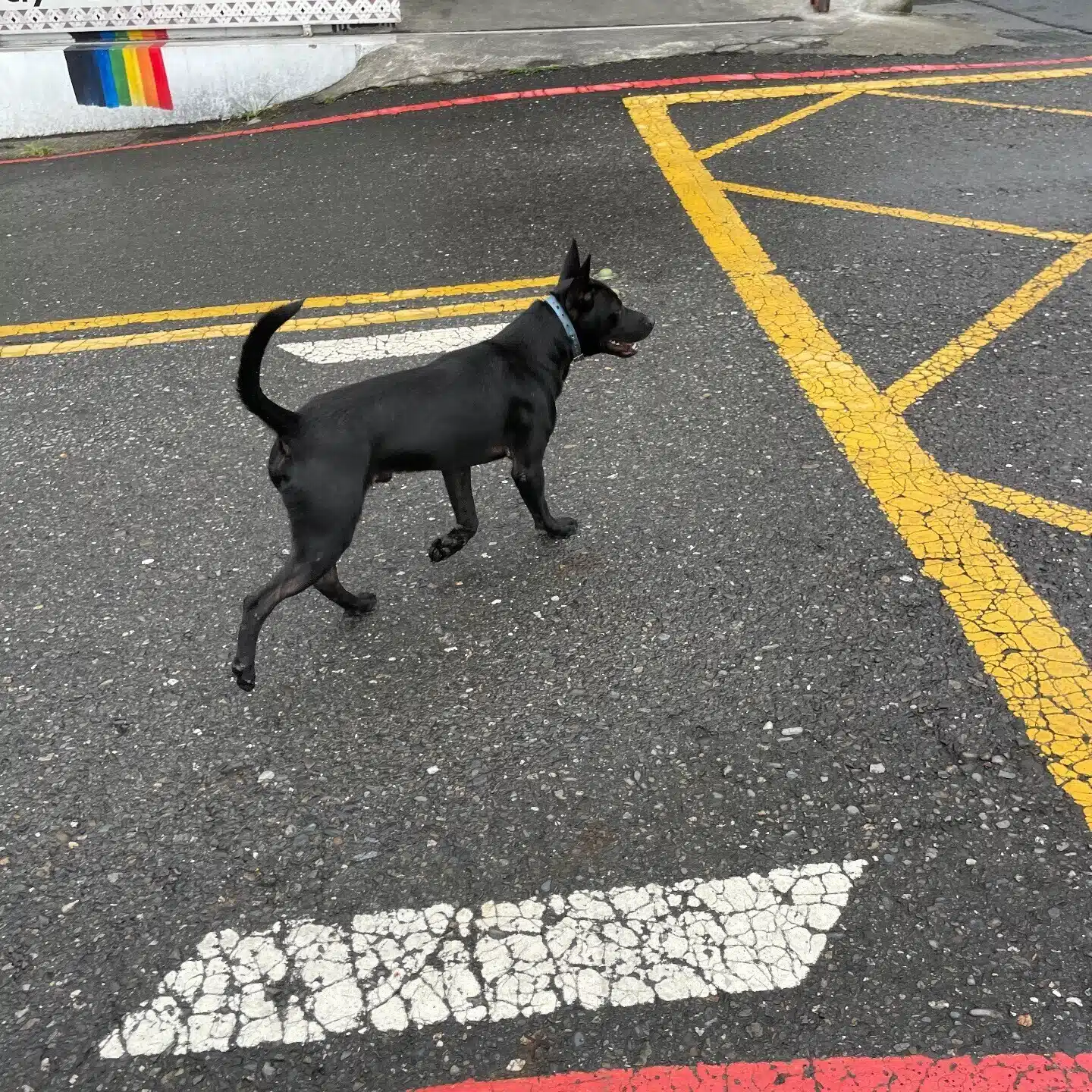 高鉄