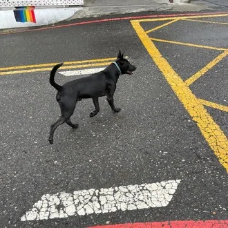 高鉄