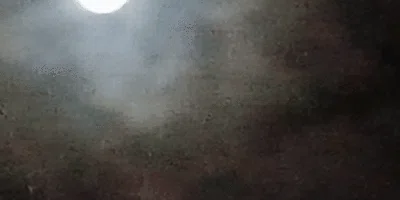 ç»å