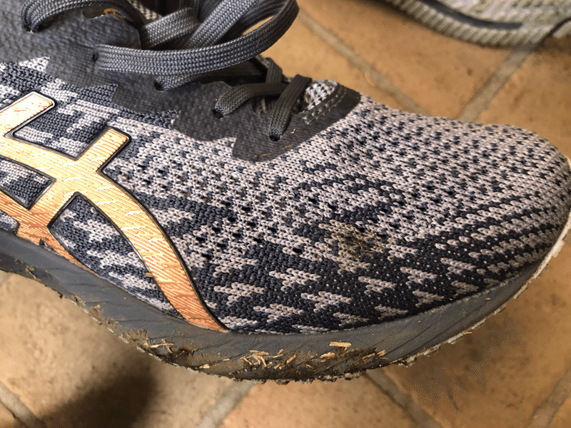 ニット系ランニングシューズを洗う Seiya Note