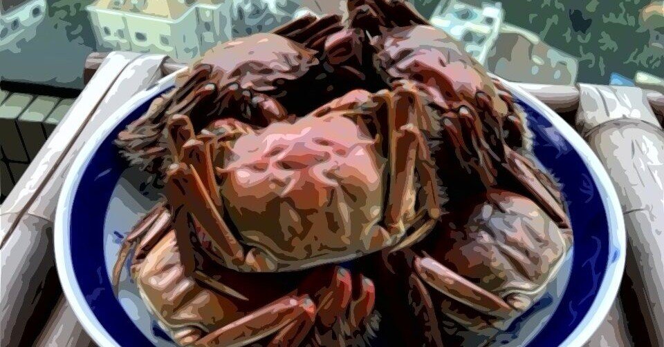 おうちで宴会 - 上ピラ会、七年ぶりの復活！｜酒徒（しゅと