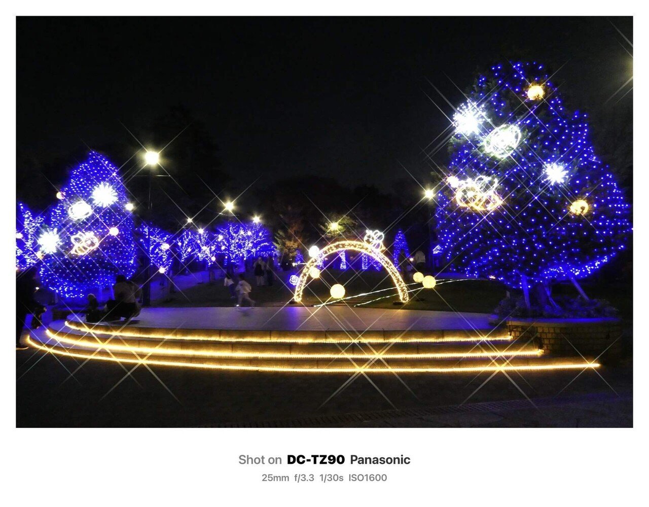 キラキラ・イルミネーション｜SuzukenSambar