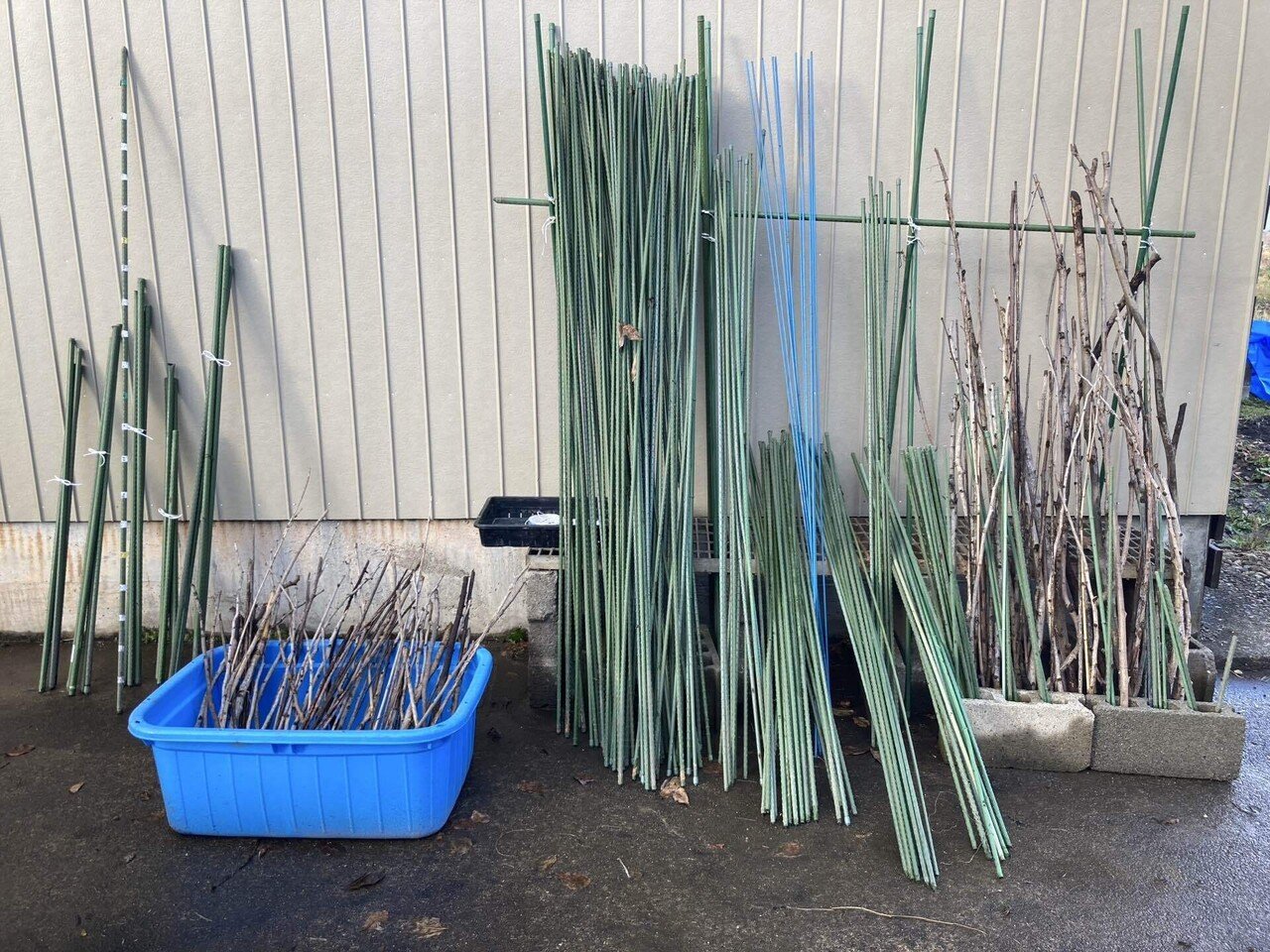 道具を片付ける①・イボ竹編～新規就農への記録その138」｜はたけのいす