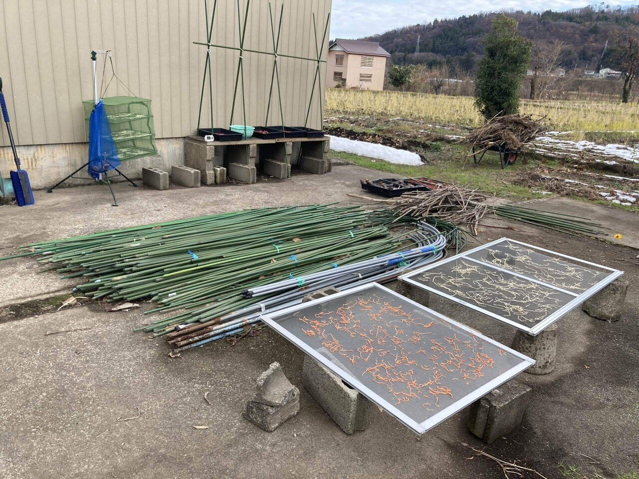 道具を片付ける①・イボ竹編～新規就農への記録その138」｜はたけのいす