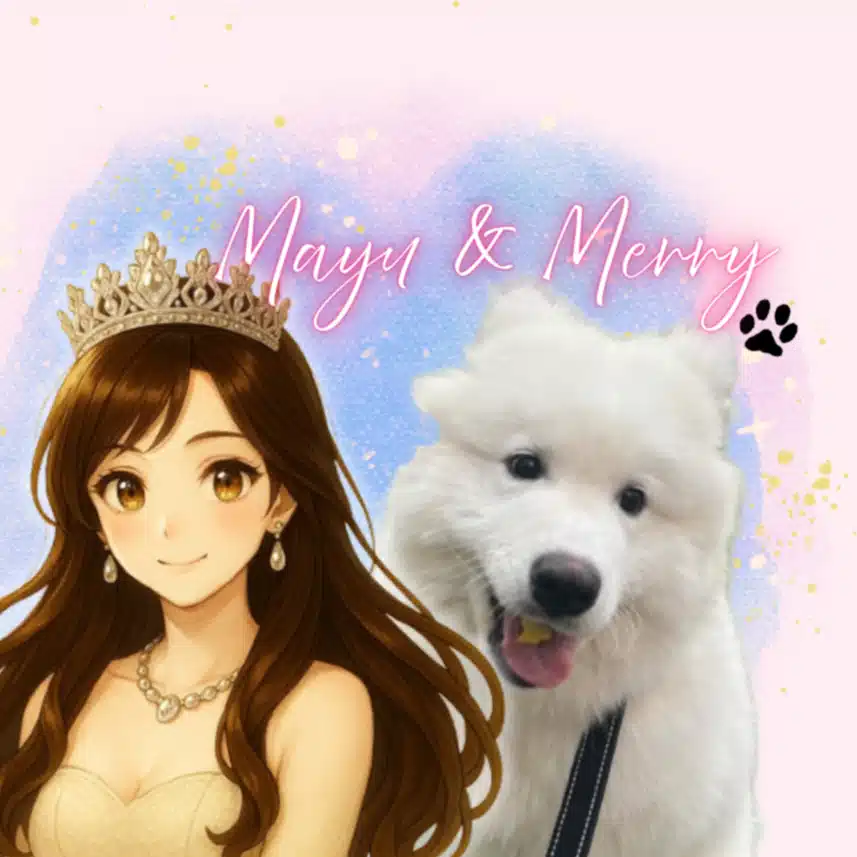 まゆとﾒﾘｰちゃんのトレード日記👑🐾