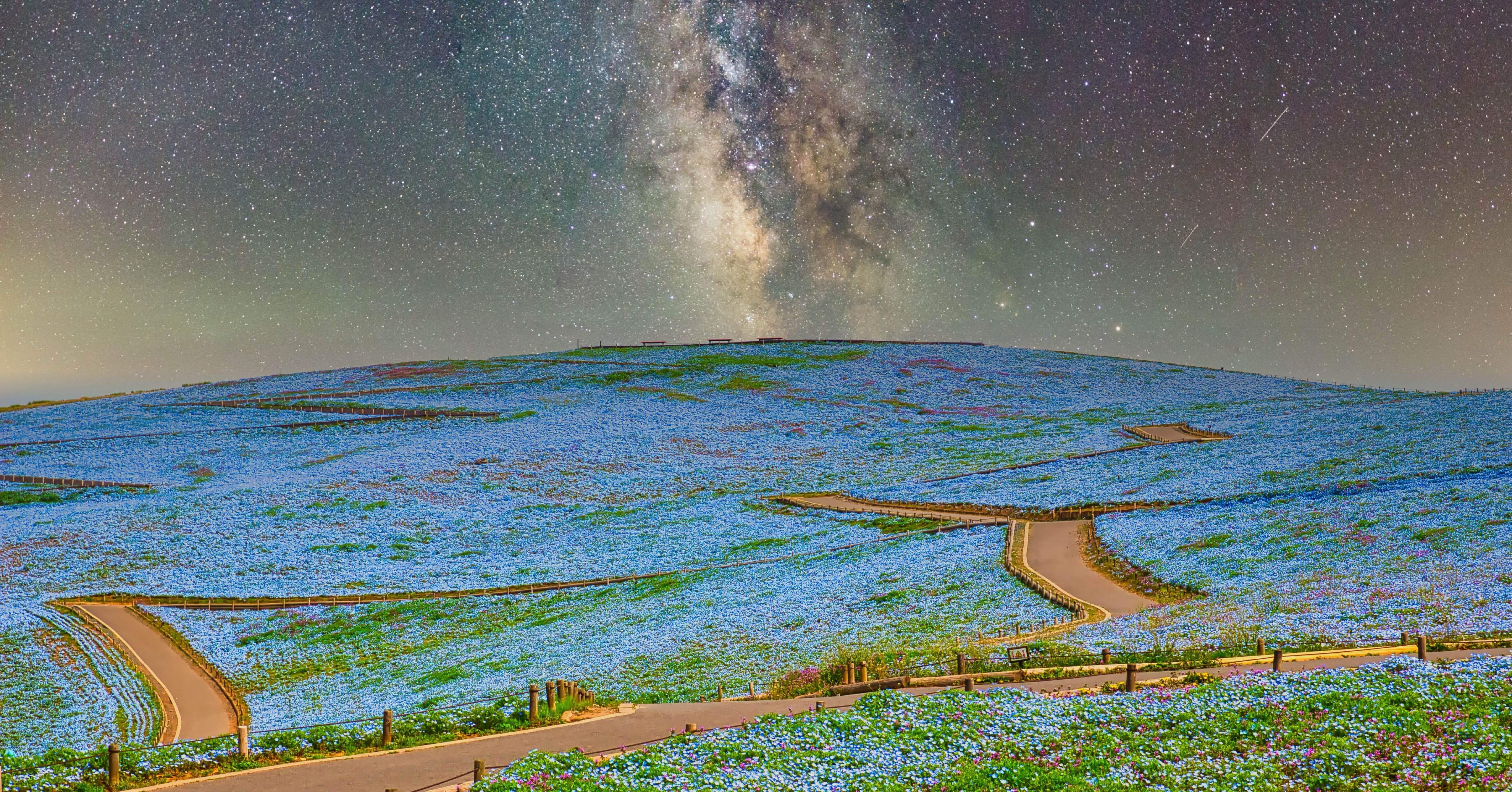 瓶の風景 4月24日生まれのあなたへ｜toki