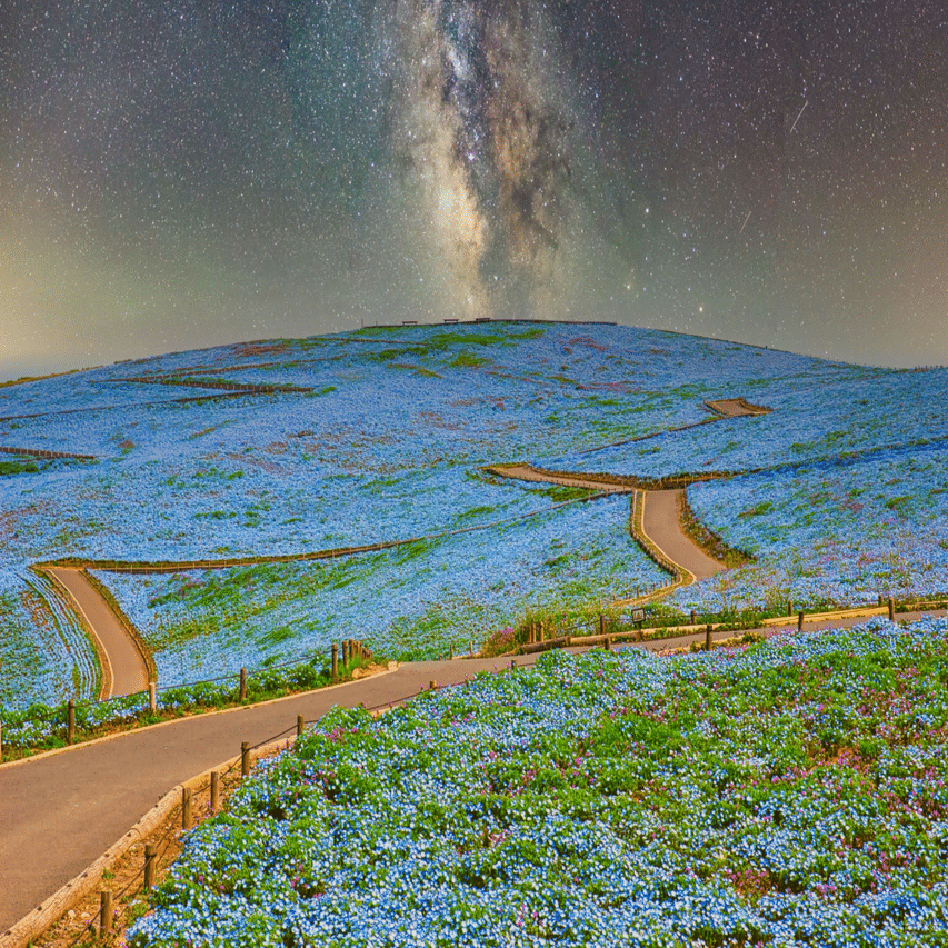 4月24日生まれのあなたへ｜toki
