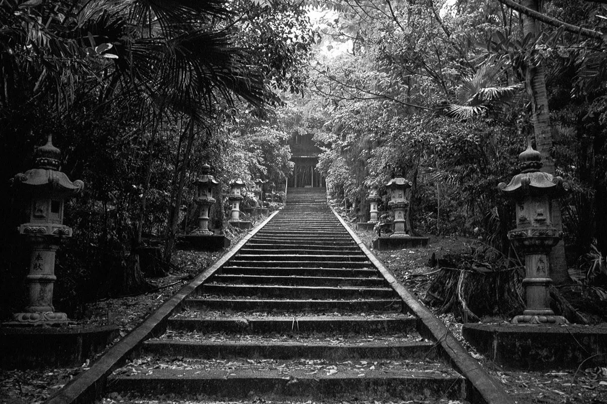 画像15