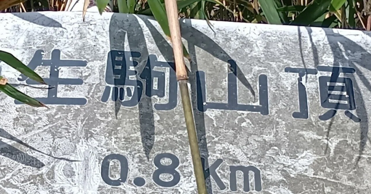 低山ハイク｜青空・落葉、生駒山。枚岡神社、摂河泉コース、生駒山上