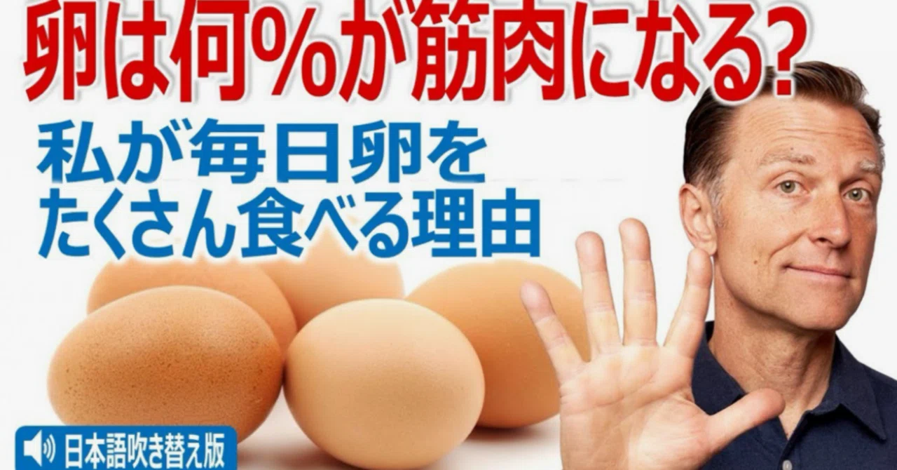 最新｜卵は何%が筋肉になる？　私が毎日卵をたくさん食べる理由｜ドクター・バーグ
