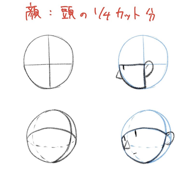 顔のバランスの基本＿カット