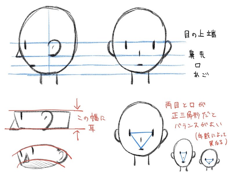 人体の作画 顔のバランスの基本 Jo Note 人体の作画 顔のバランスの基本 Jo Note