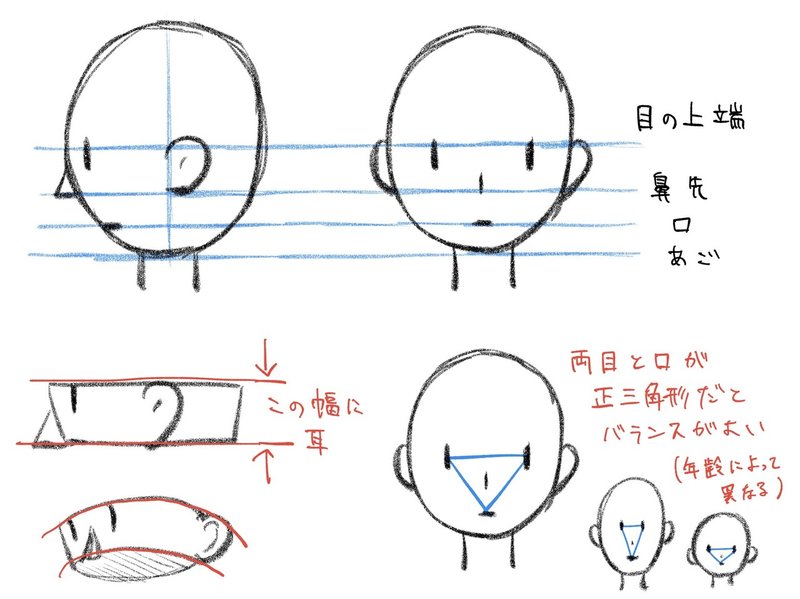 顔のバランスの基本＿配置