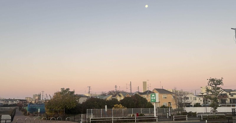空堀川上流域のカワセミ あれから1年