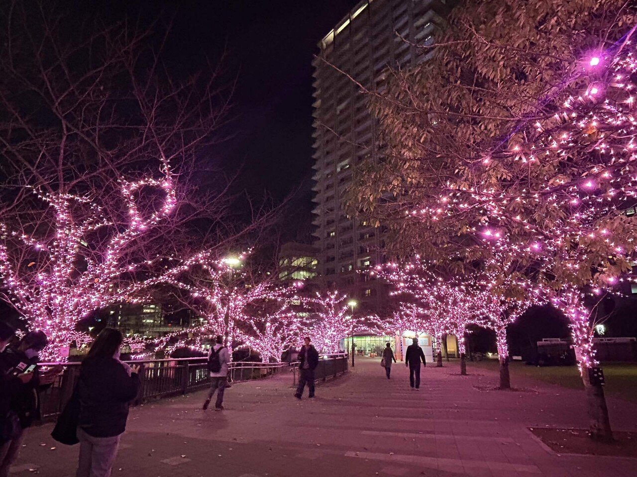 クリスマスin東京】幹事力も光り輝く！よみうりランド「ジュエルミ