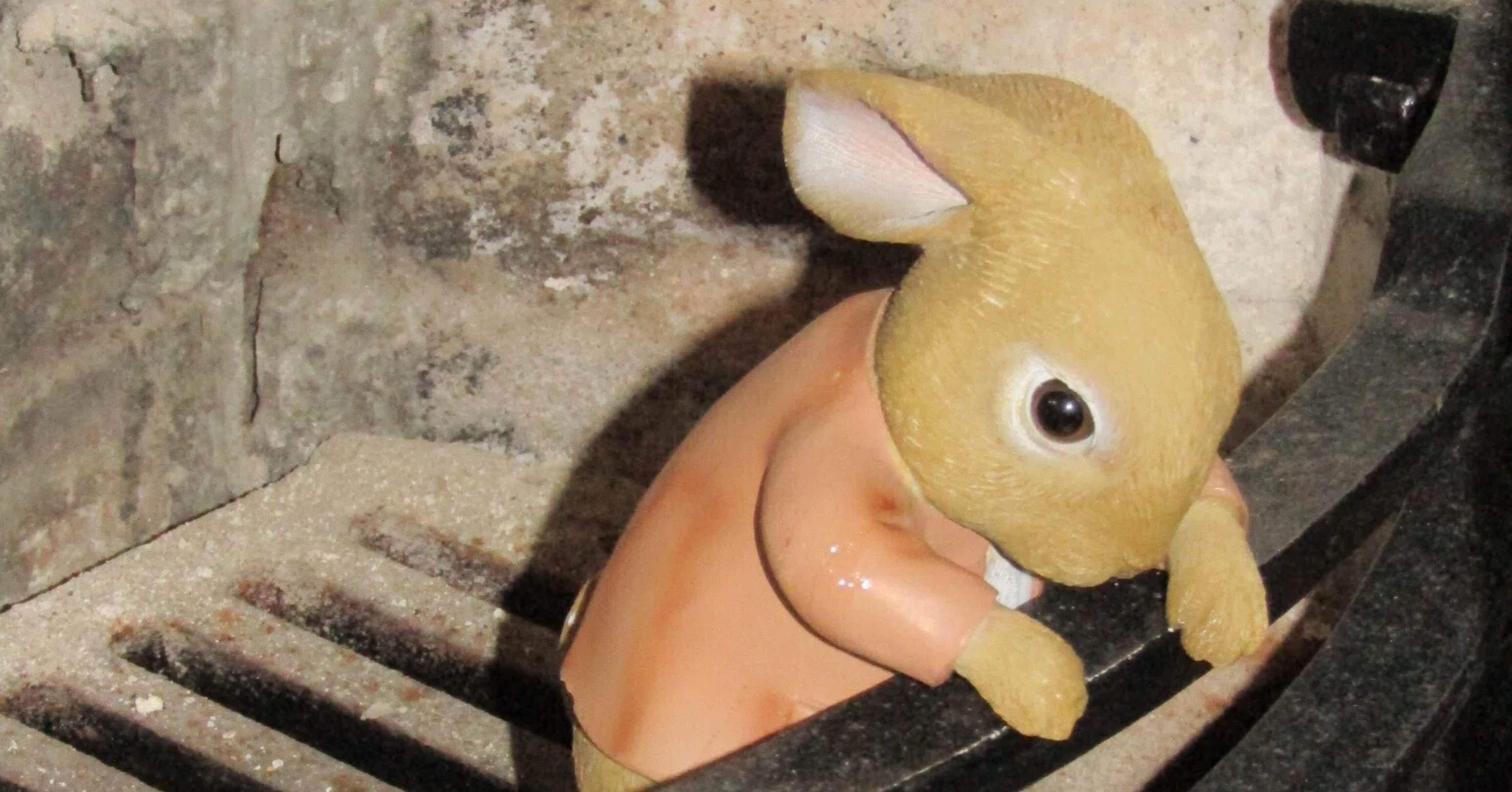 🐰 ピーターラビットで“寝ながら英語”が成立した日｜旅するエッセイ