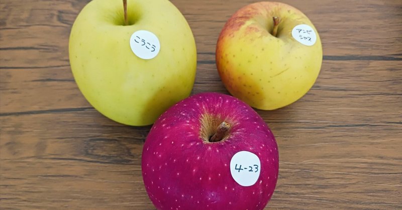 りんご品種図鑑～こうこう・4-23・アンビシャス～