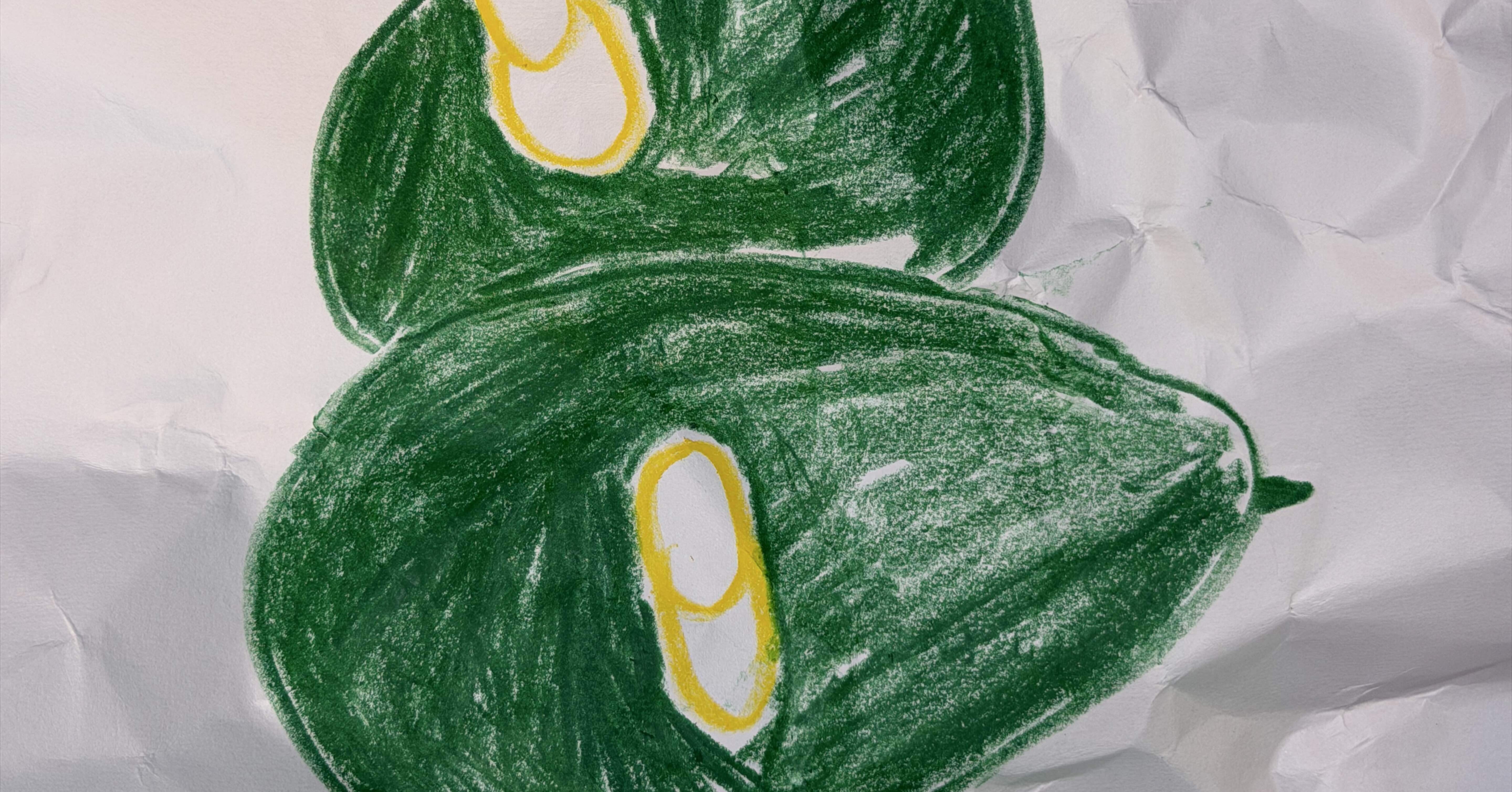 薬局でアボカド｜「峰村」/“minemura”