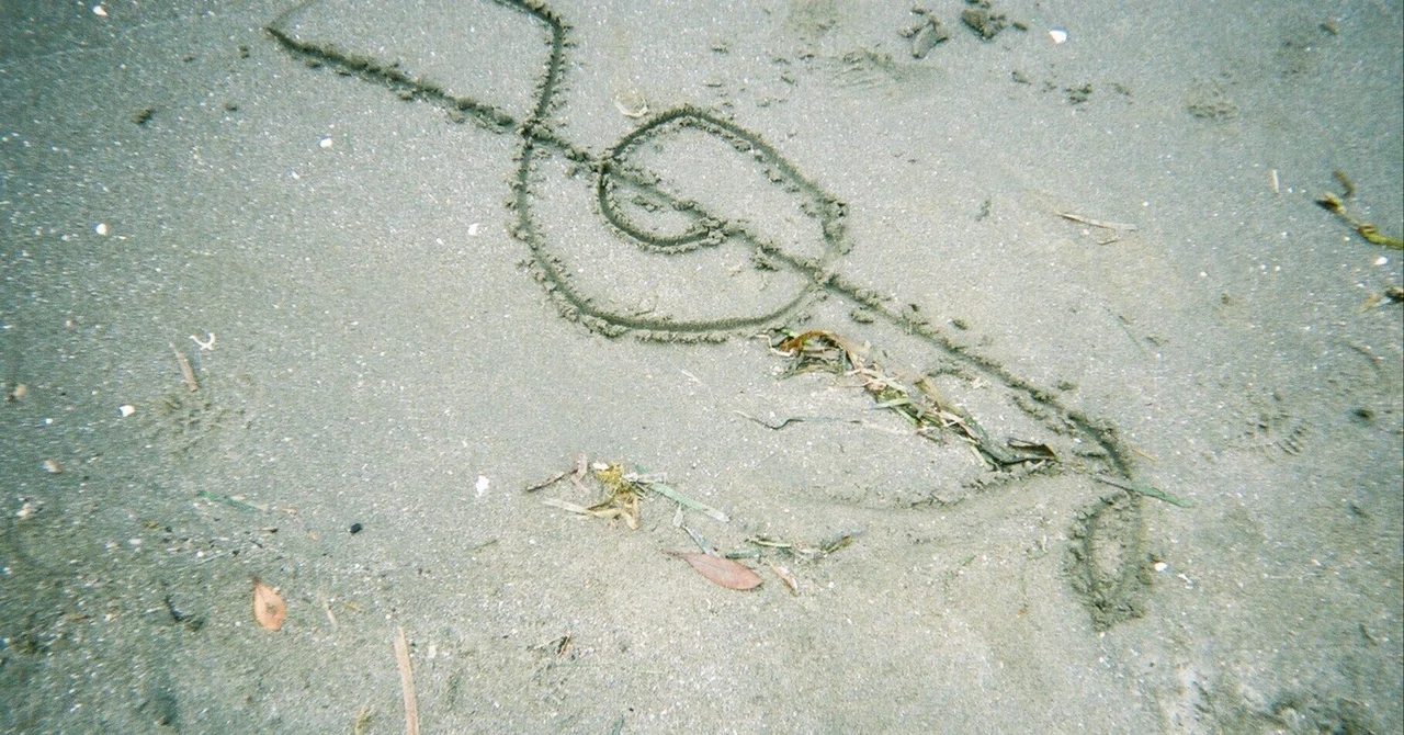 流れてく|はくる
