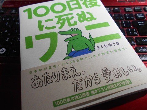 書籍化された 100日後に死ぬワニ 本とネットの100ワニのちがい 過去作との比較 考察記事 動画も紹介 あみあきひこ Note 書籍化された 100日後に死ぬワニ 本とネットの100ワニのちがい 過去作との比較 考察記事 動画も紹介 あみあきひこ Note