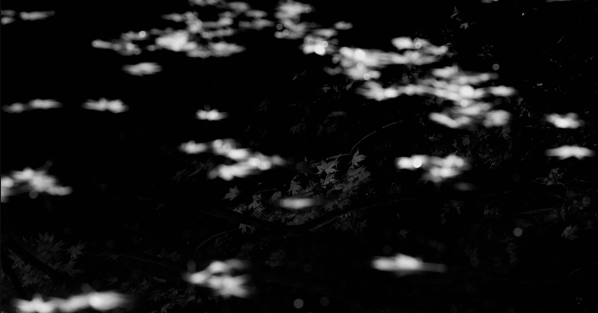 pay it forward.｜田中稔彦