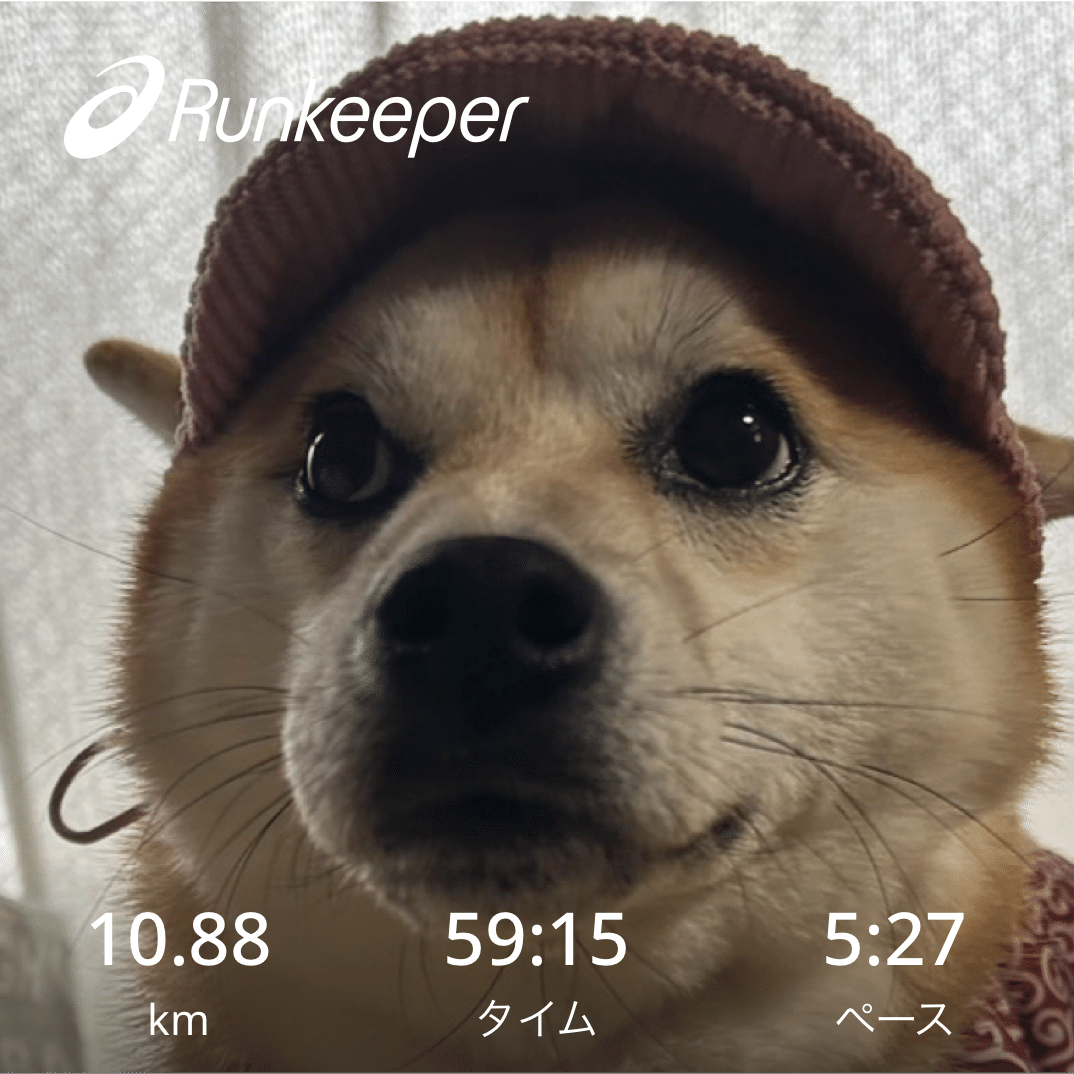 酔っぱらい【ランニング記録】｜こーはち, image size:1074x1074