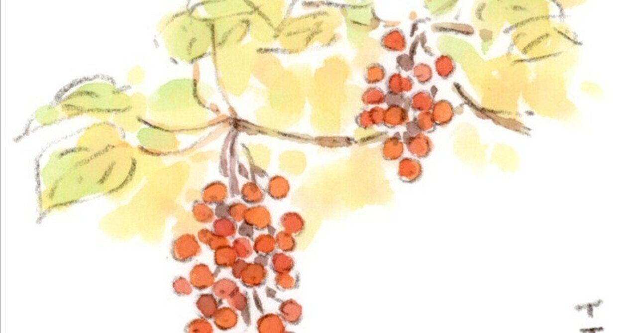 晩秋の赤い実｜ほっこり絵日記