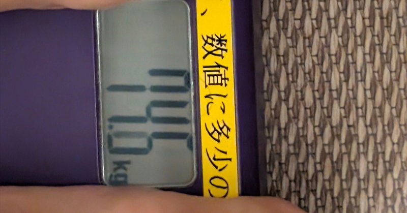 車上生活者のダイエット事情♪目指せ6060｜二代目穴熊寅造｜バンライフ