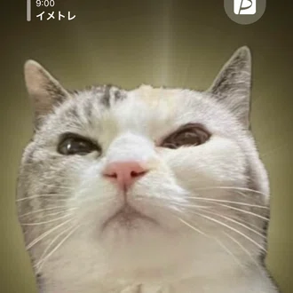 カザマタカフミ