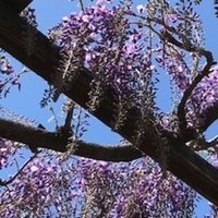 米と大豆の花言葉 キッチンからつぶやく50代主婦のサスティナブルな毎日 Note