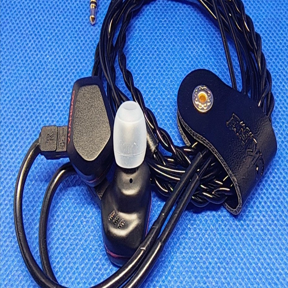 フラグシップ音響デザイン】NICEHCK Tears 涙 イヤホンレビュー #PR