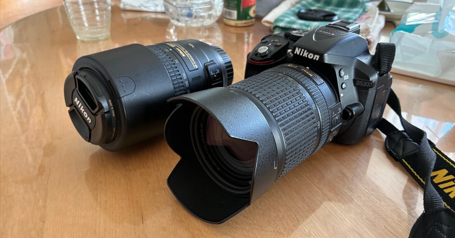 Nikon D5300との思い出｜ねこゆう