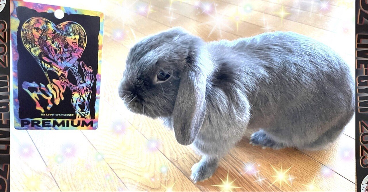 B'z LIVE-GYM 2025 -FYOP- Premium席ﾗｲﾌﾞ後の思い出（2025.12.7 東京