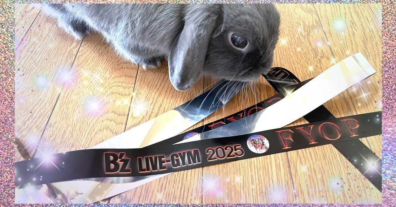 B'z LIVE-GYM 2025 -FYOP- Premium席ﾗｲﾌﾞ中の思い出（2025.12.7 東京