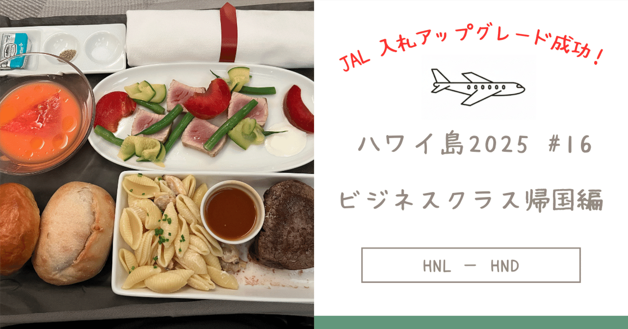 ハワイ島2025 #16 | JAL入札アップグレード成功！ビジネスクラスで帰国