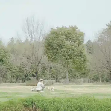 余白のトリセツ　SÖLL -ソル –