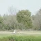 余白のトリセツ SÖLL -ソル –