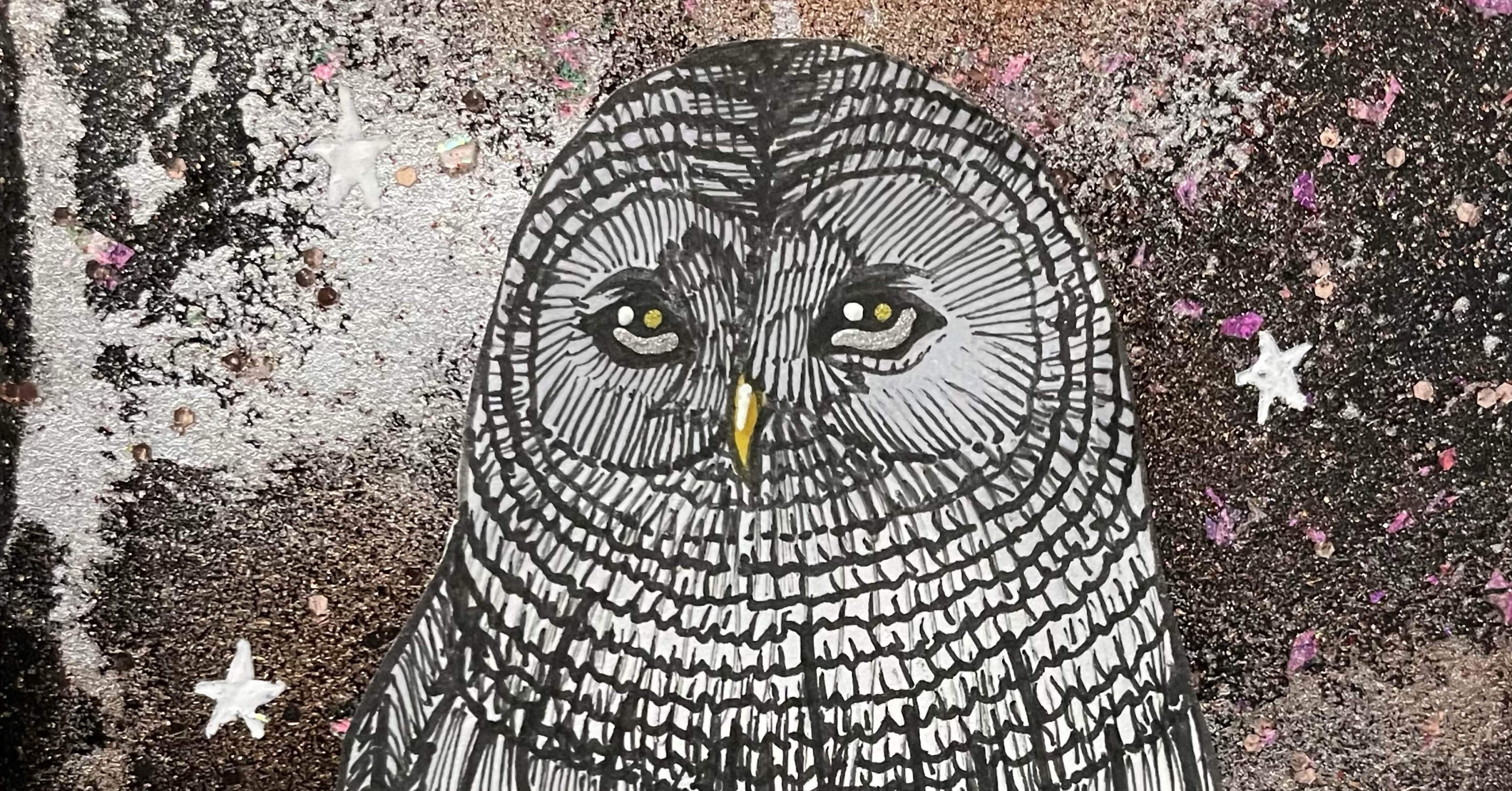 今日の二枚🦉✨｜フクロウシホ