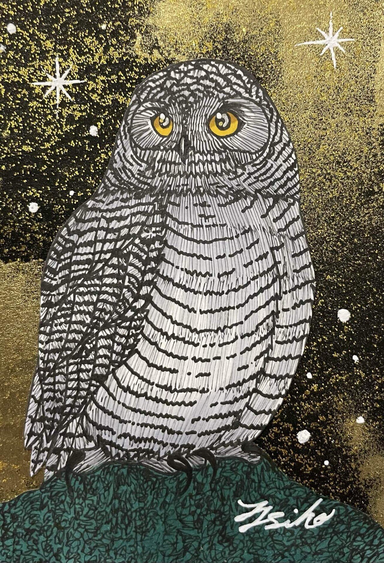 今日の二枚🦉✨｜フクロウシホ