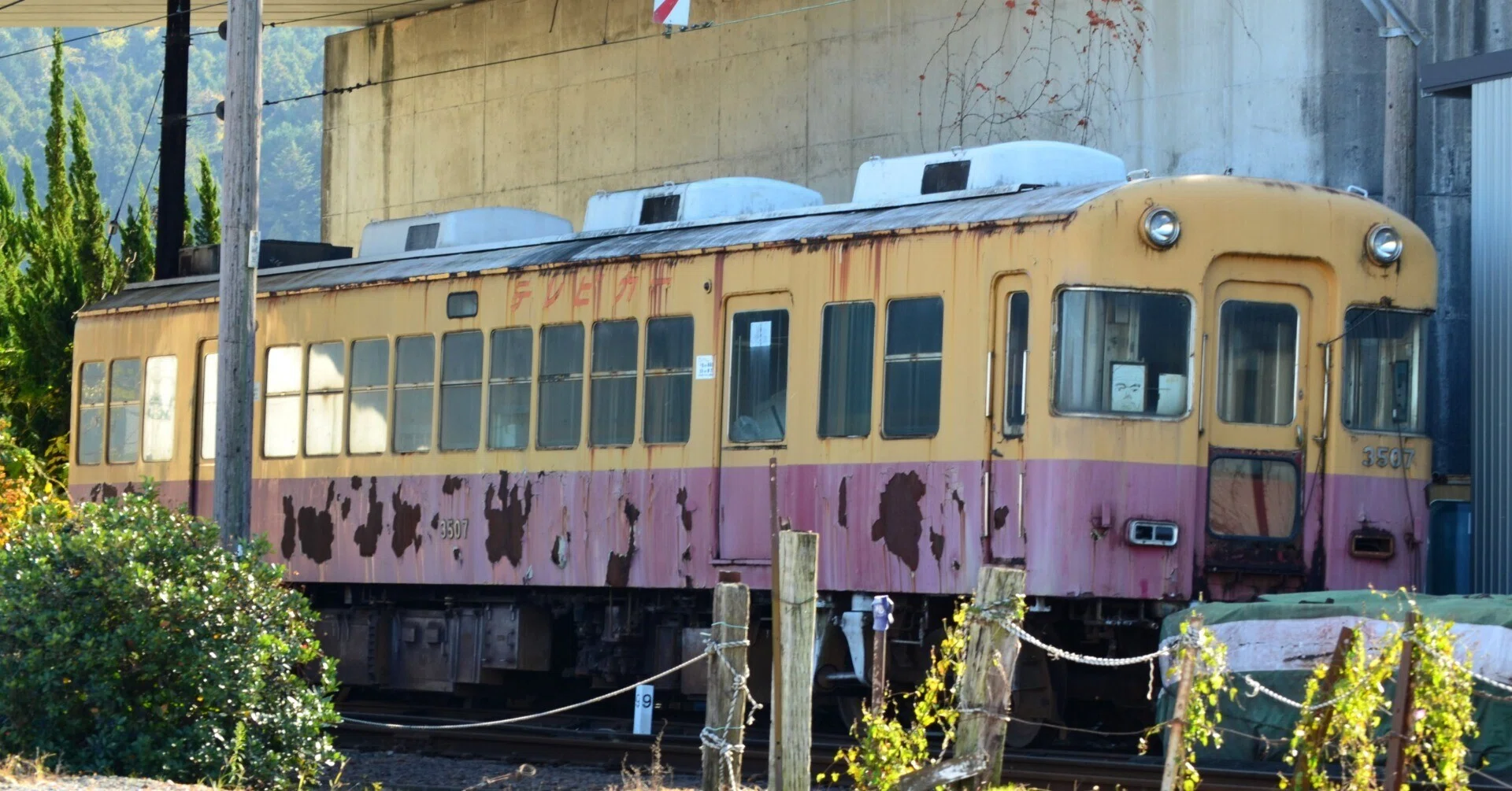 新金谷車両区の廃車体たち｜vivace115の写真館(2027年3月まで休館中)
