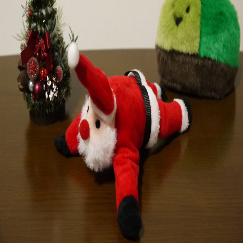 サンタさん｜みちそら