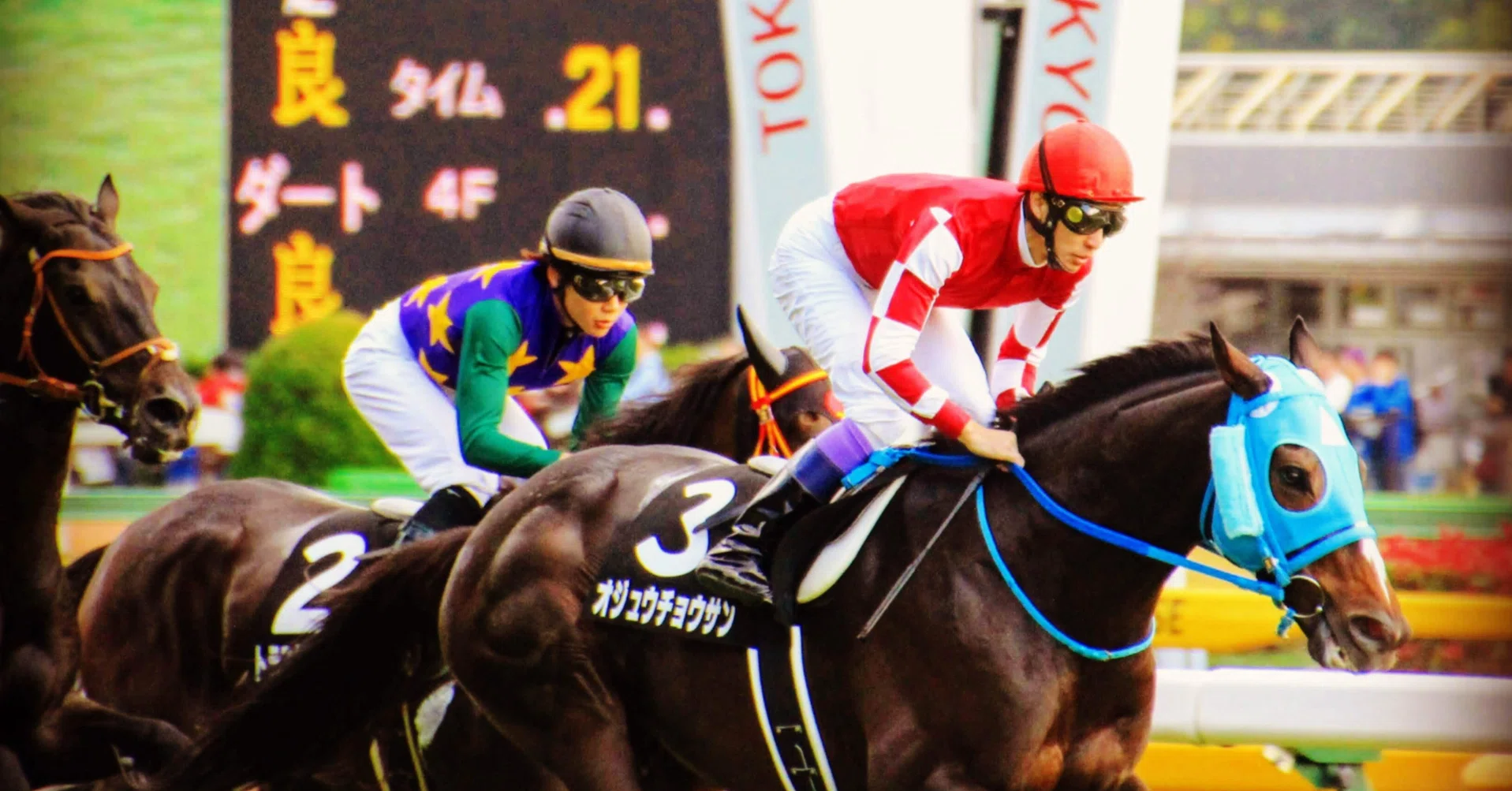京都競馬場必勝攻略｜坂と直線を制する最強戦略と最新データ活用法