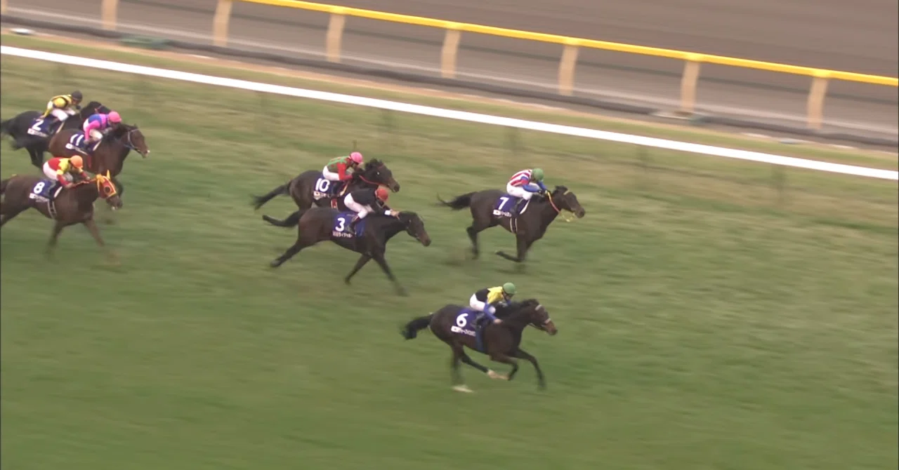 2002年東京競馬場コース改修工事前後からJRA全競馬場の馬場が高速化