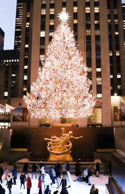 Holiday at the Met — ツリーとレハと、偶然の出会い｜minalog